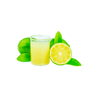 Recetas de tragos con Zumo de limon